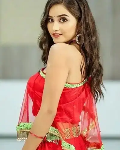 Call Girls Service Vishnupur